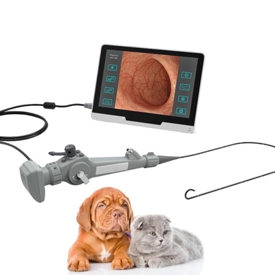 Портативный гибкий видео- Endoscope для животной цистоскопии Bronchscopy